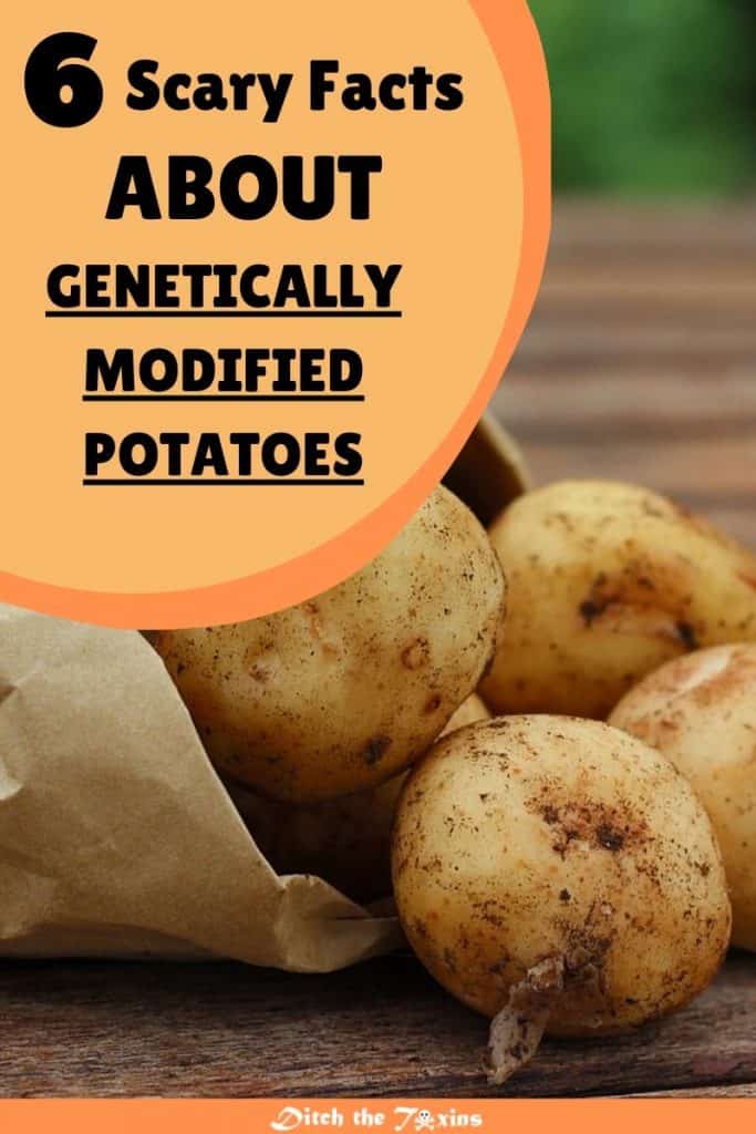 6 Scary Facts Everyone Should Know About GMO Potatoes Ditch The Toxins